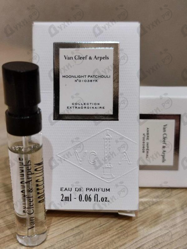 moonlight patchouli eau de parfum